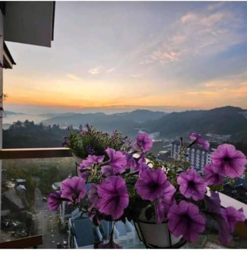 Kensington Sunrise Sg, Palas Horizon,Kea Farm 브린창 외부 사진