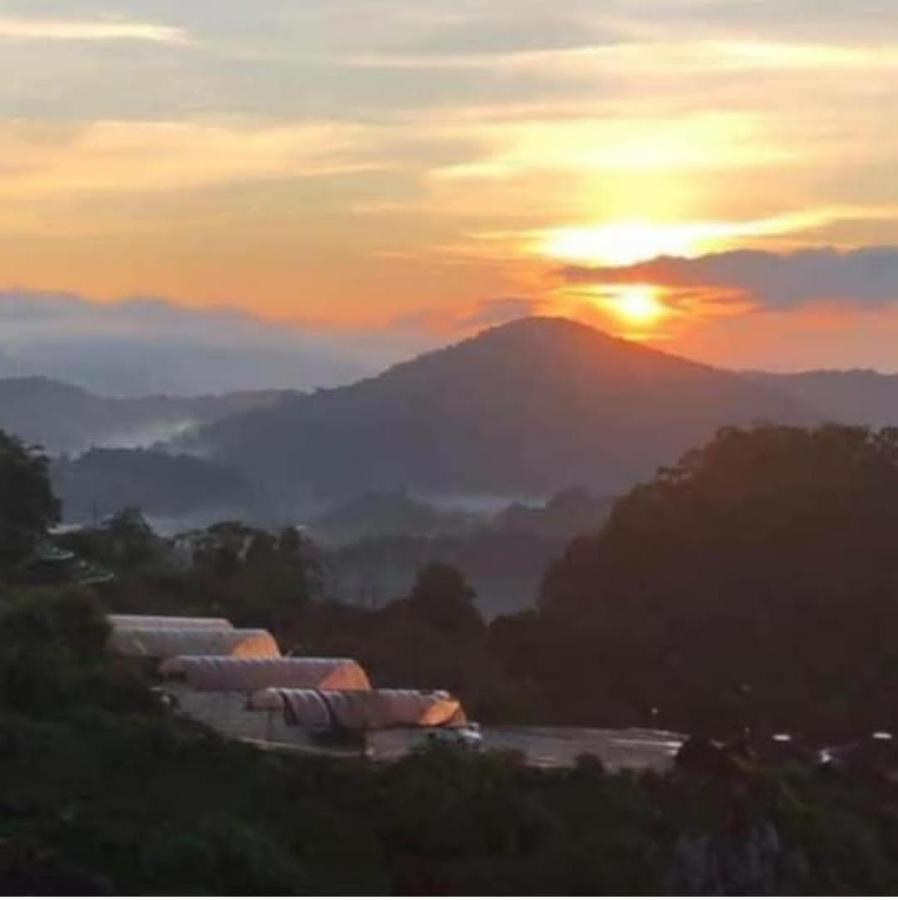 Kensington Sunrise Sg, Palas Horizon,Kea Farm 브린창 외부 사진