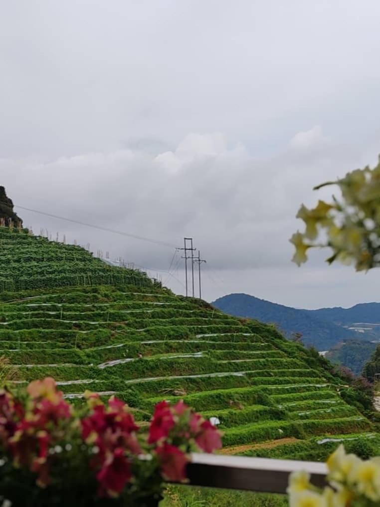 Kensington Sunrise Sg, Palas Horizon,Kea Farm 브린창 외부 사진