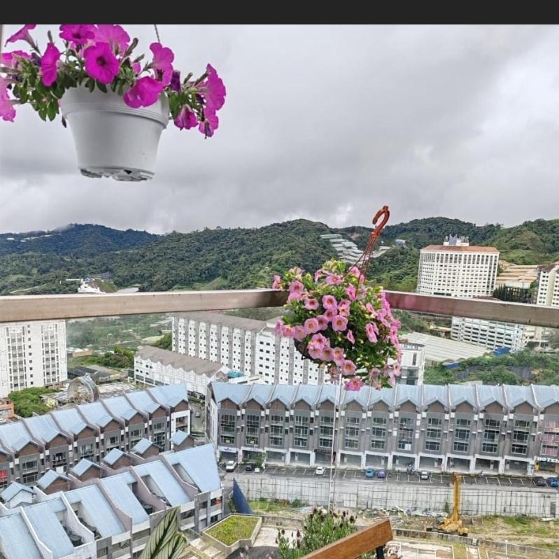Kensington Sunrise Sg, Palas Horizon,Kea Farm 브린창 외부 사진