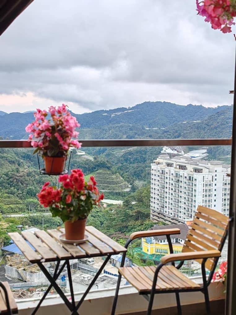 Kensington Sunrise Sg, Palas Horizon,Kea Farm 브린창 외부 사진