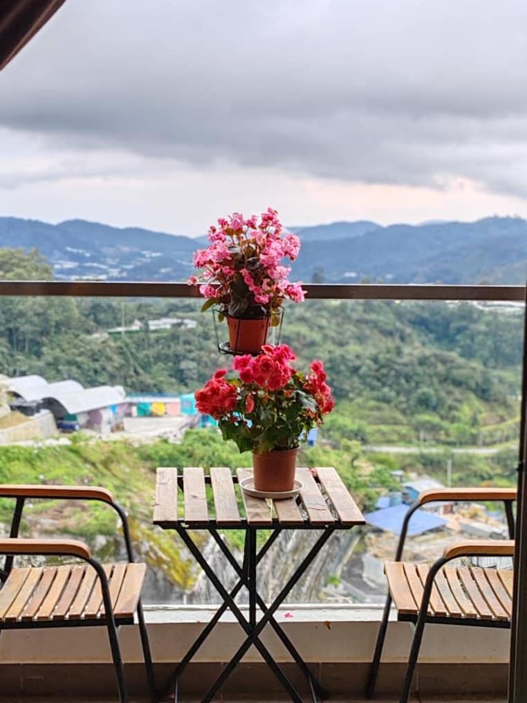Kensington Sunrise Sg, Palas Horizon,Kea Farm 브린창 외부 사진